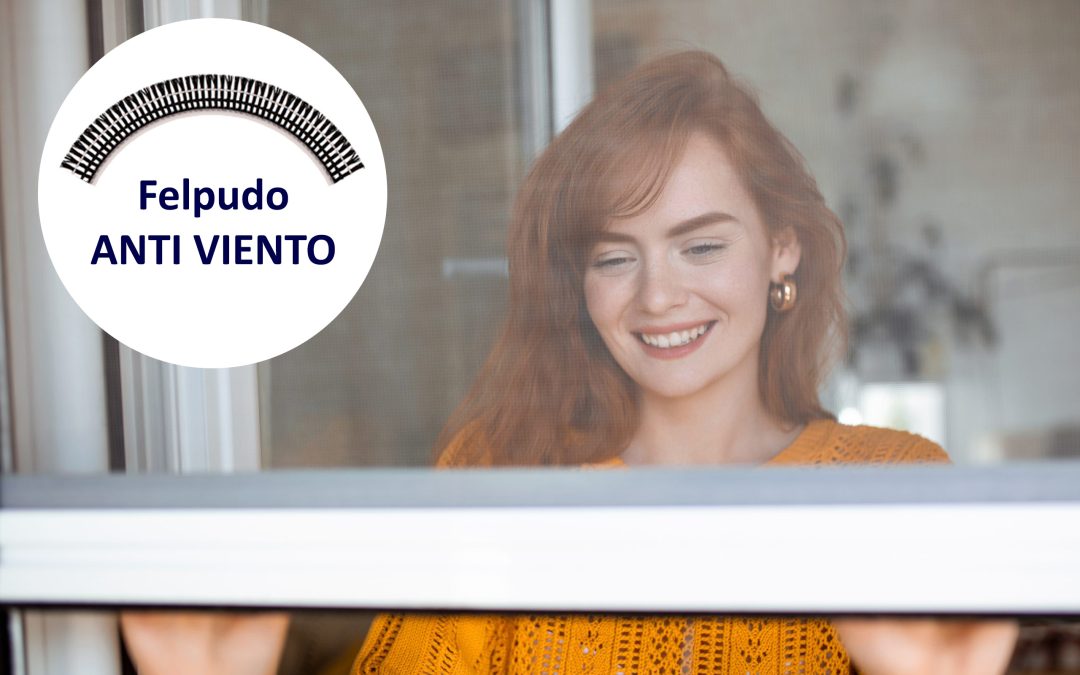 Ventana con felpudo anti viento y mosquitera enrollable